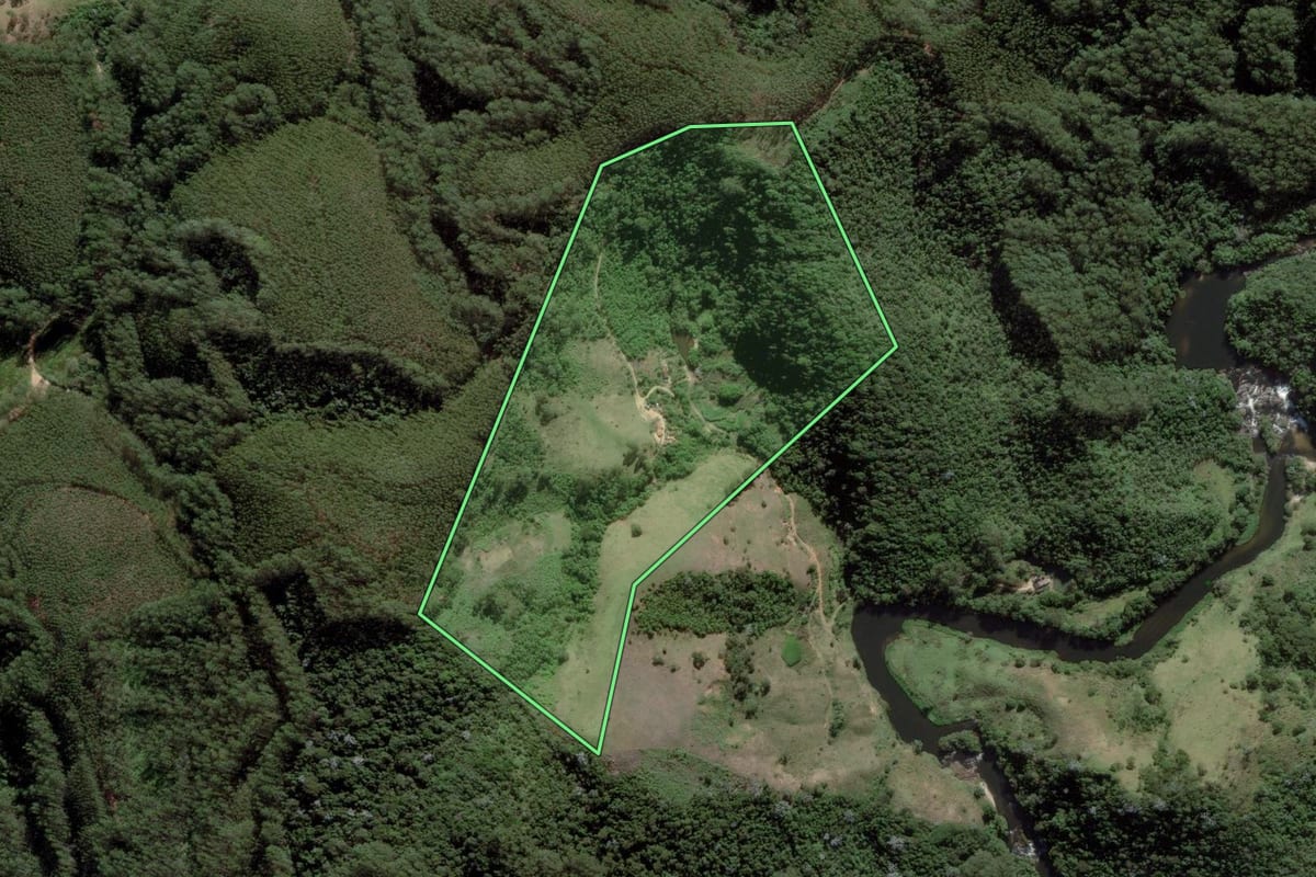 Imagem de satélite do imóvel rural em Natividade da Serra (SP), com o contorno declarado no CAR desenhado por cima.