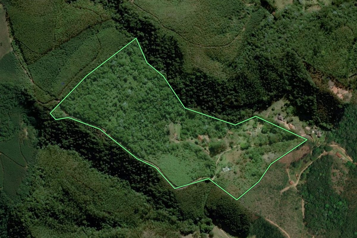 Imagem de satélite do imóvel rural em Nazaré Paulista (SP), com o contorno declarado no CAR desenhado por cima.