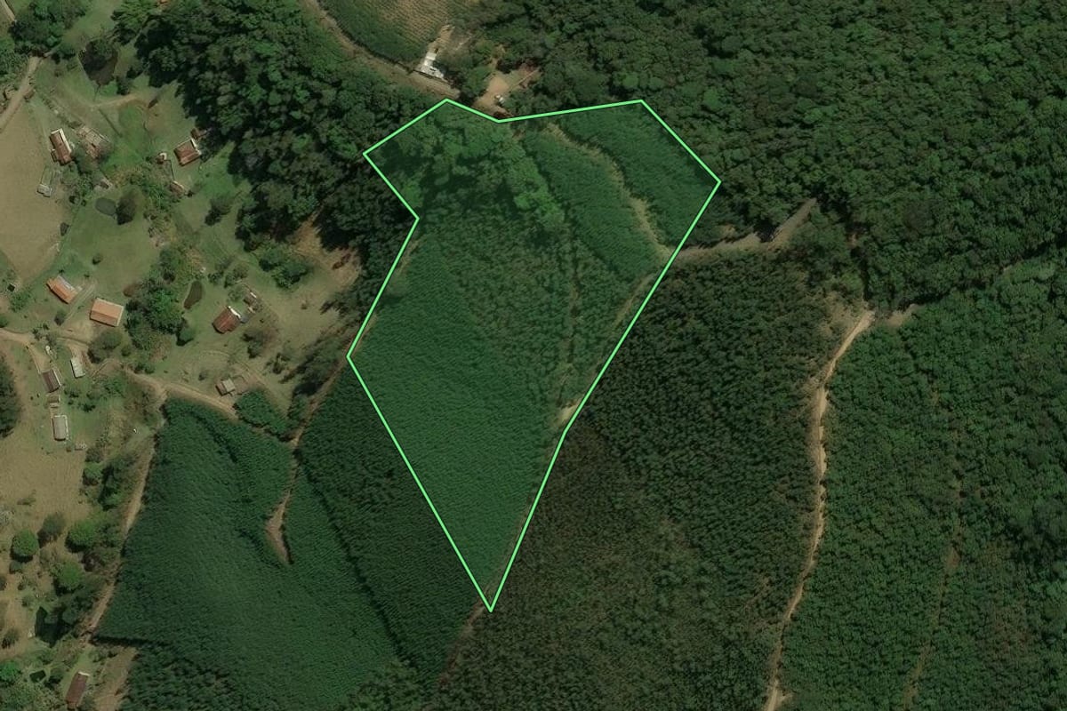 Imagem de satélite do imóvel rural em Nazaré Paulista (SP), com o contorno declarado no CAR desenhado por cima.