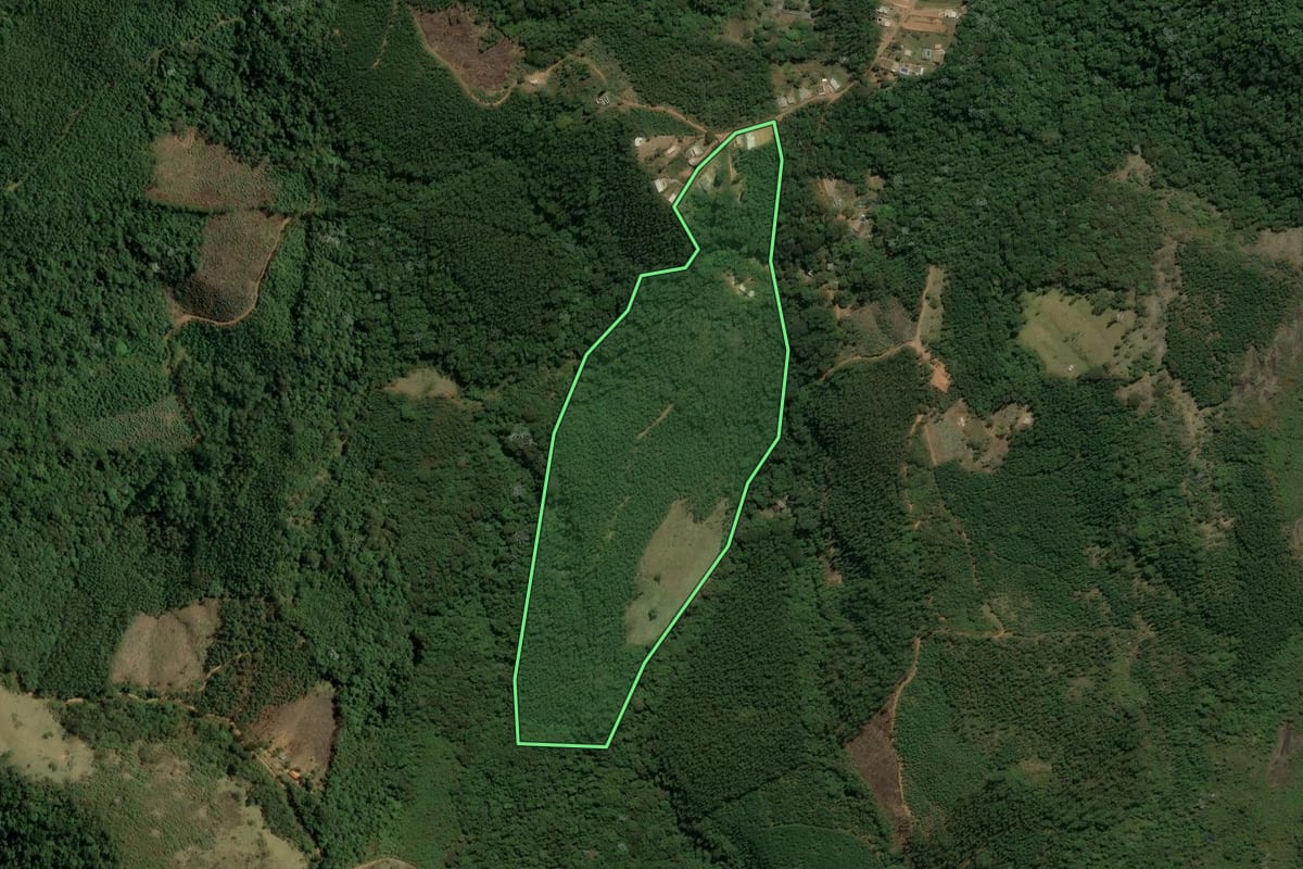 Imagem de satélite do imóvel rural em Nazaré Paulista (SP), com o contorno declarado no CAR desenhado por cima.
