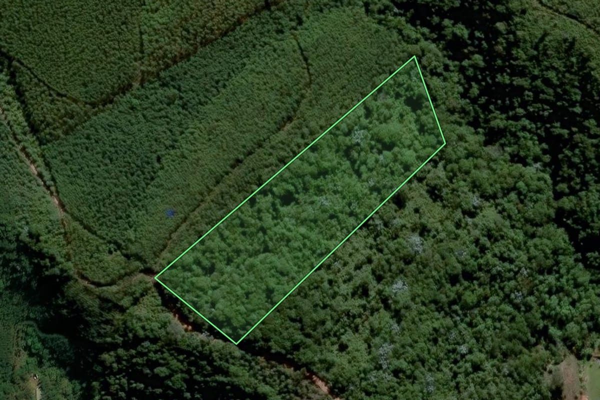 Imagem de satélite do imóvel rural em Nazaré Paulista (SP), com o contorno declarado no CAR desenhado por cima.