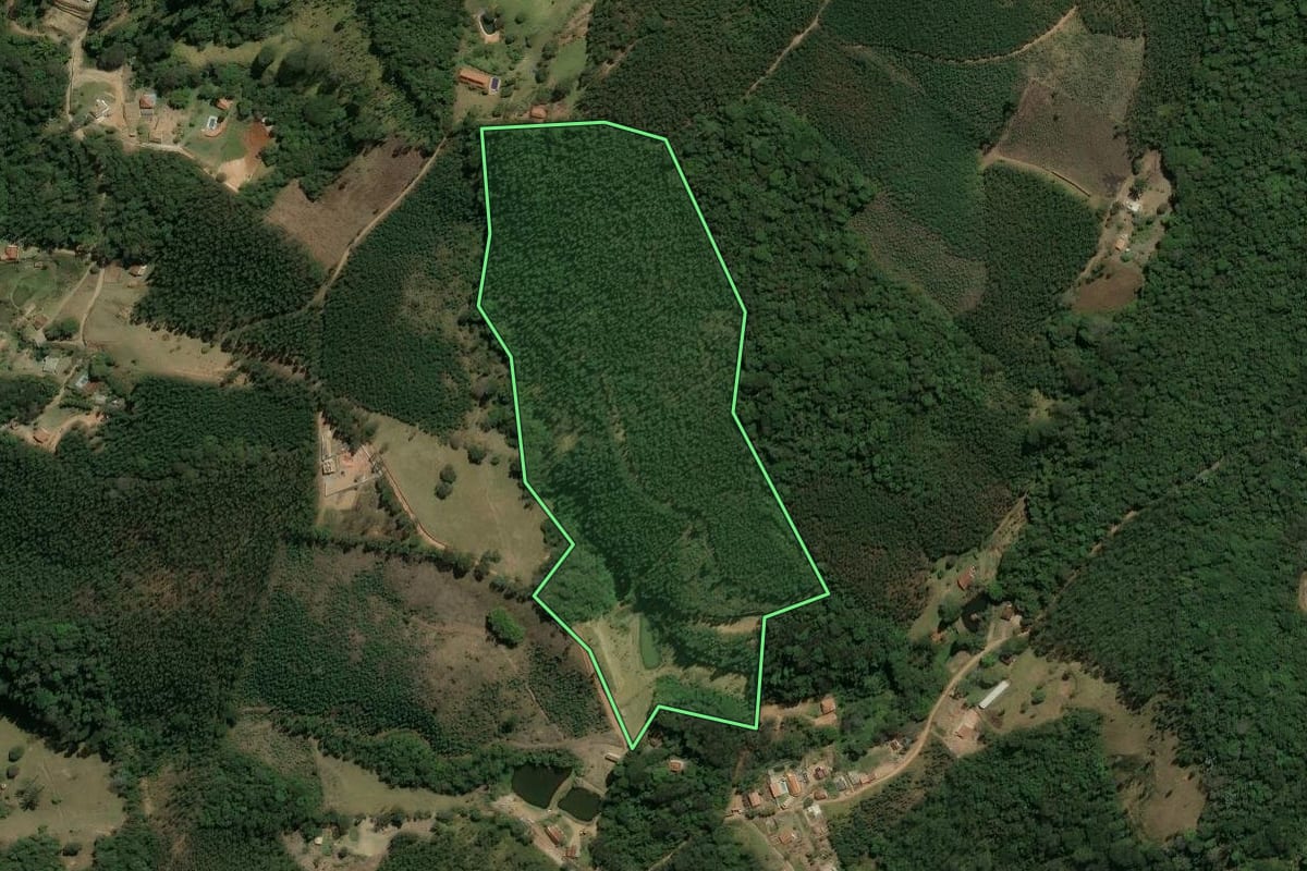 Imagem de satélite do imóvel rural em Nazaré Paulista (SP), com o contorno declarado no CAR desenhado por cima.