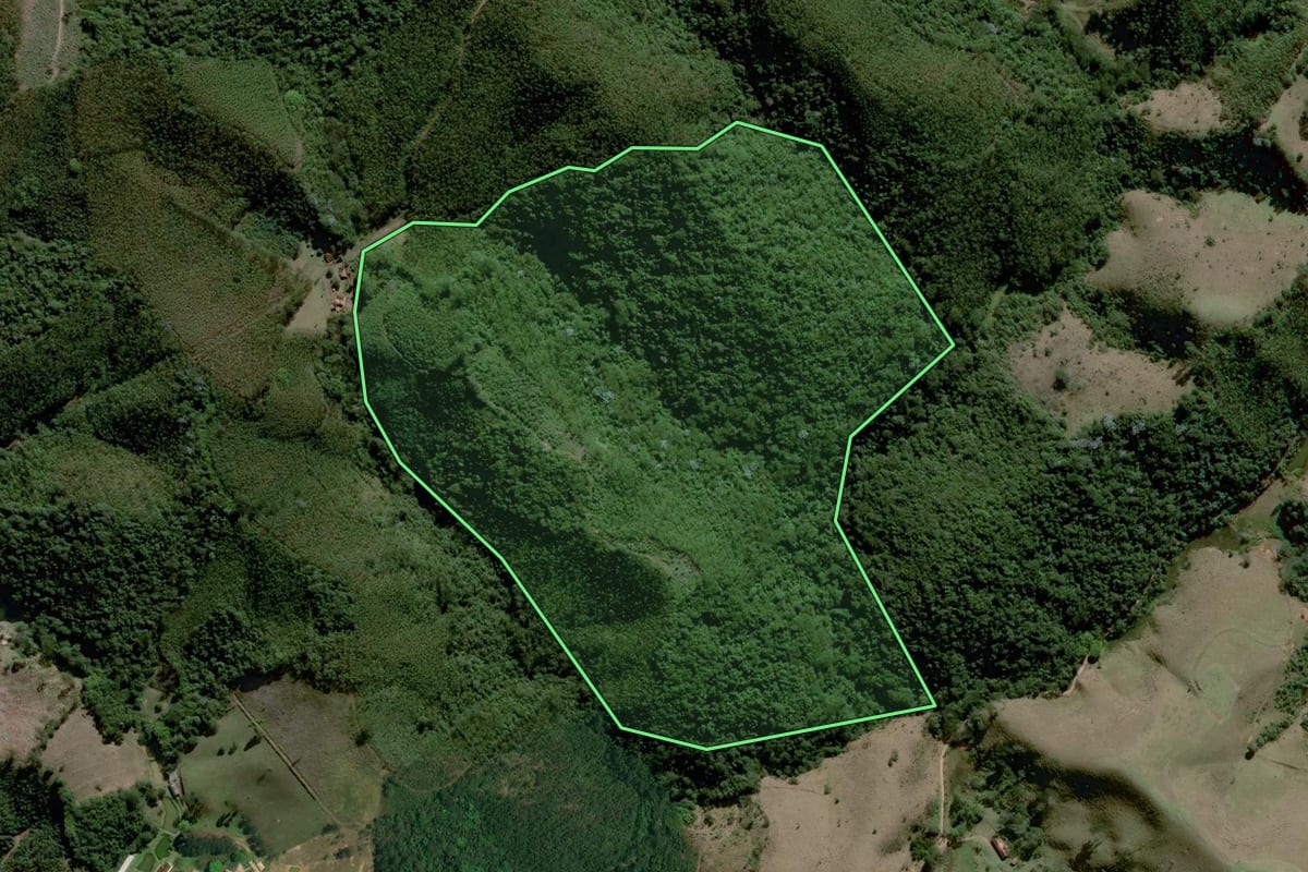 Imagem de satélite do imóvel rural em Nazaré Paulista (SP), com o contorno declarado no CAR desenhado por cima.