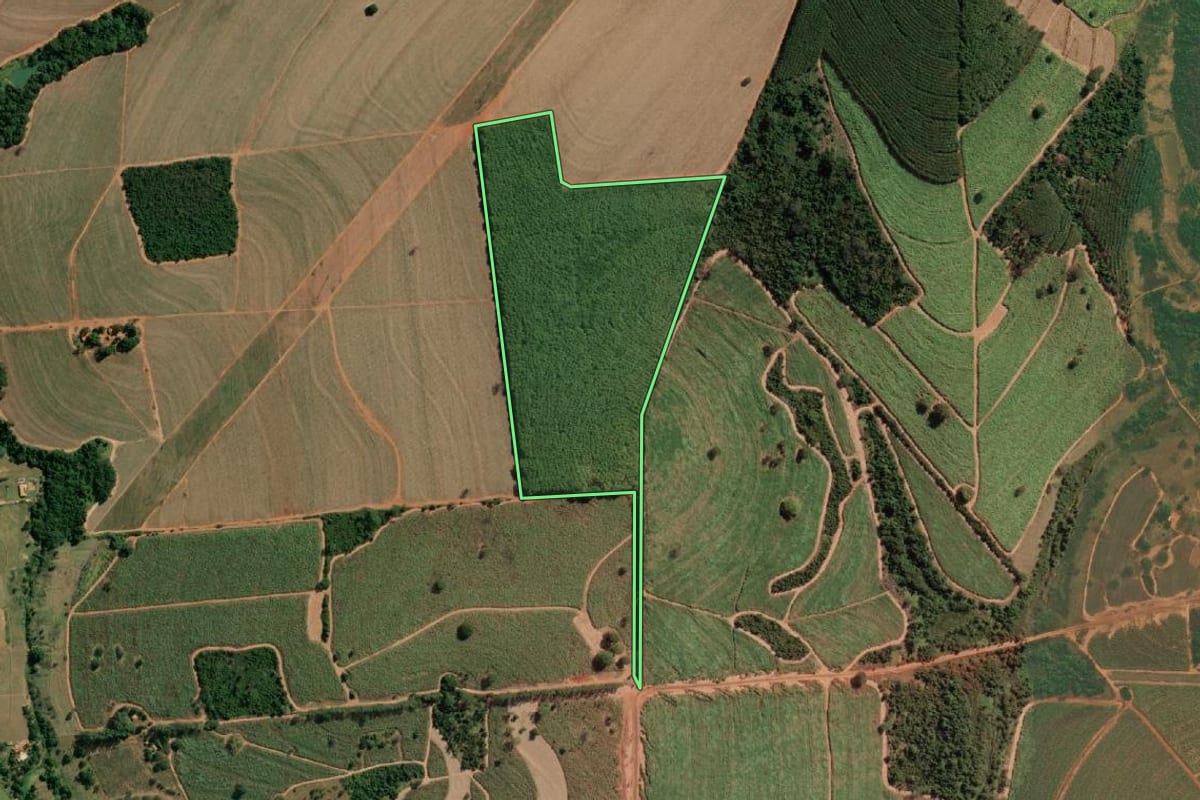 Imagem de satélite do imóvel rural em Neves Paulista (SP), com o contorno declarado no CAR desenhado por cima.