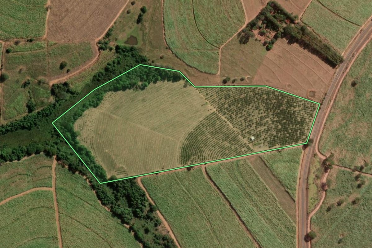 Imagem de satélite do imóvel rural em Neves Paulista (SP), com o contorno declarado no CAR desenhado por cima.
