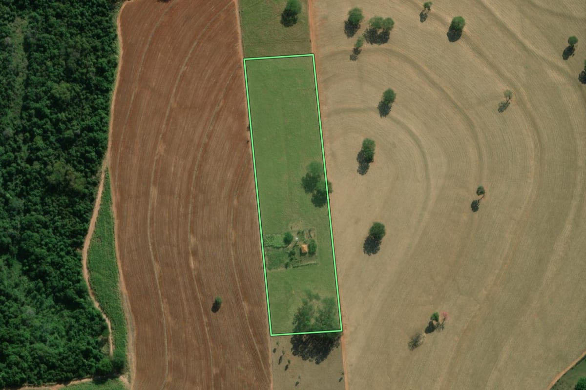 Imagem de satélite do imóvel rural em Neves Paulista (SP), com o contorno declarado no CAR desenhado por cima.