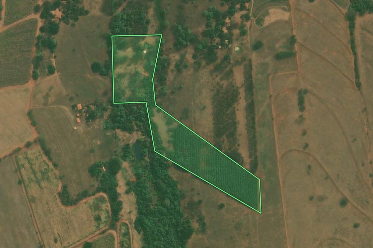 Imagem de satélite do imóvel rural em Neves Paulista (SP), com o contorno declarado no CAR desenhado por cima.