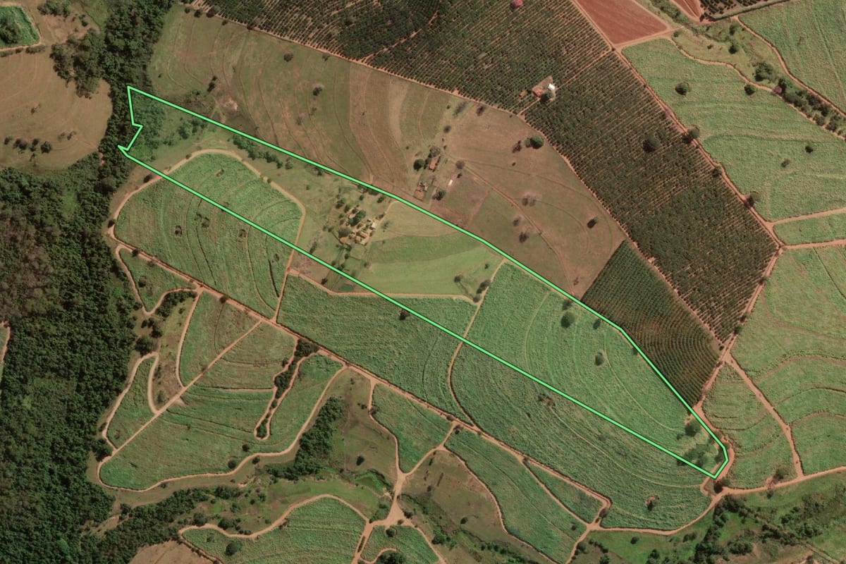 Imagem de satélite do imóvel rural em Neves Paulista (SP), com o contorno declarado no CAR desenhado por cima.