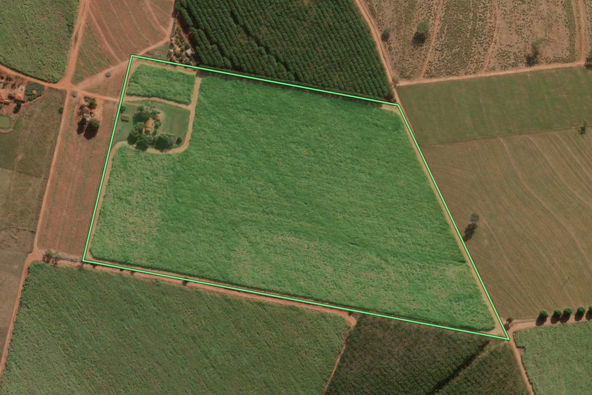 Imagem de satélite do imóvel rural em Neves Paulista (SP), com o contorno declarado no CAR desenhado por cima.