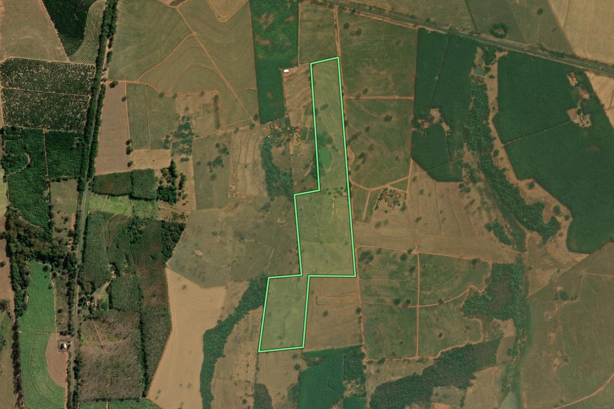 Imagem de satélite do imóvel rural em Neves Paulista (SP), com o contorno declarado no CAR desenhado por cima.