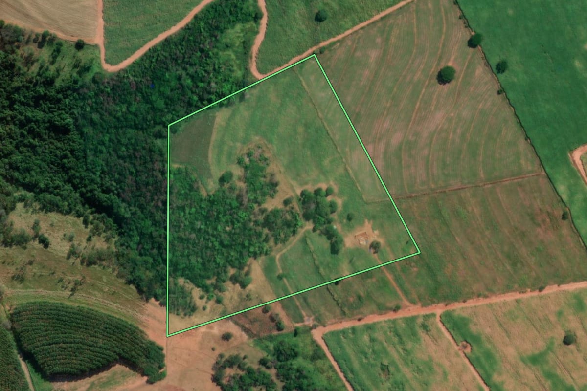 Imagem de satélite do imóvel rural em Neves Paulista (SP), com o contorno declarado no CAR desenhado por cima.
