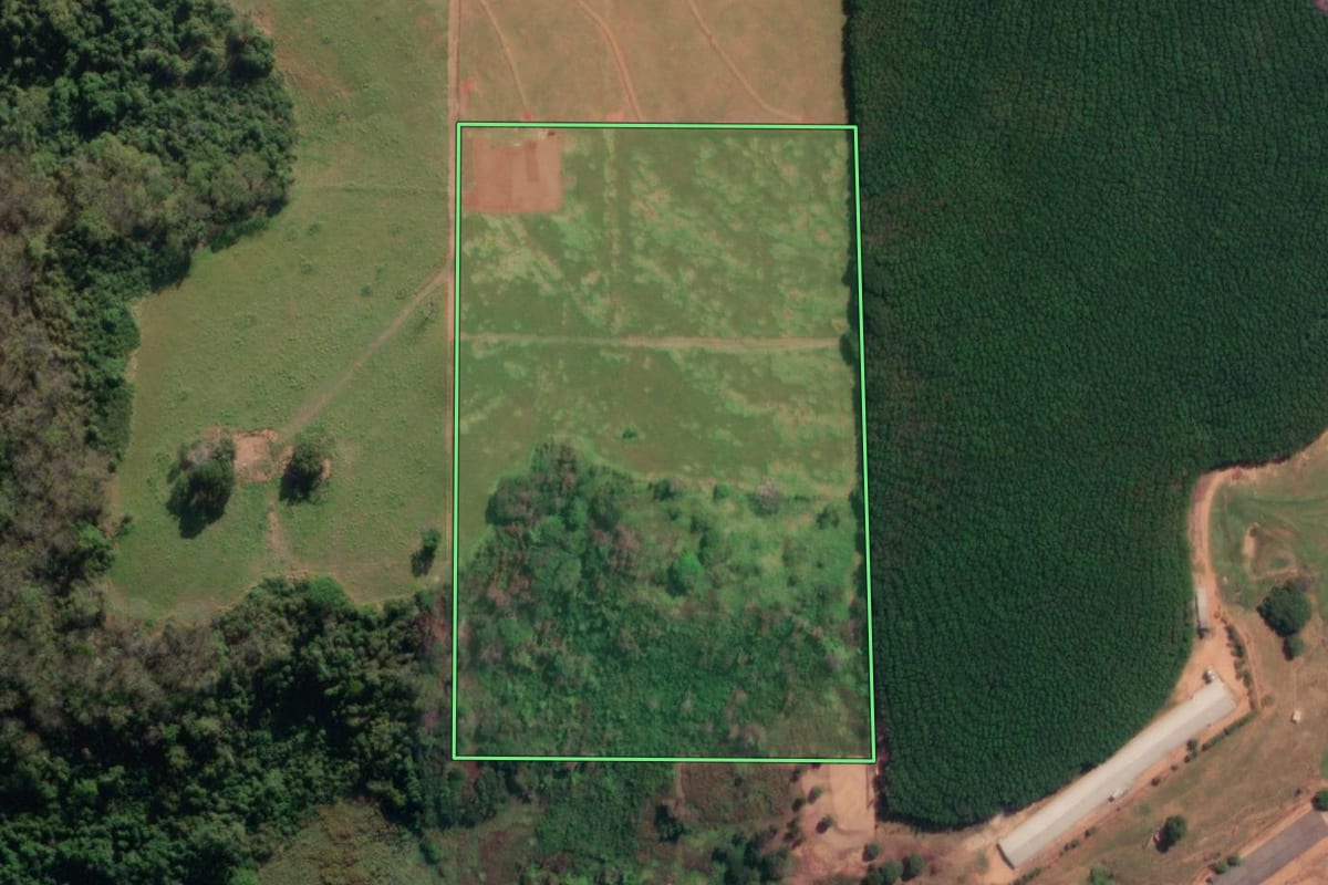 Imagem de satélite do imóvel rural em Neves Paulista (SP), com o contorno declarado no CAR desenhado por cima.