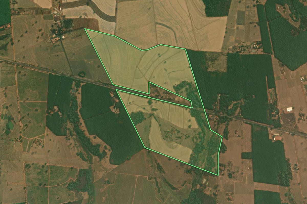 Imagem de satélite do imóvel rural em Neves Paulista (SP), com o contorno declarado no CAR desenhado por cima.