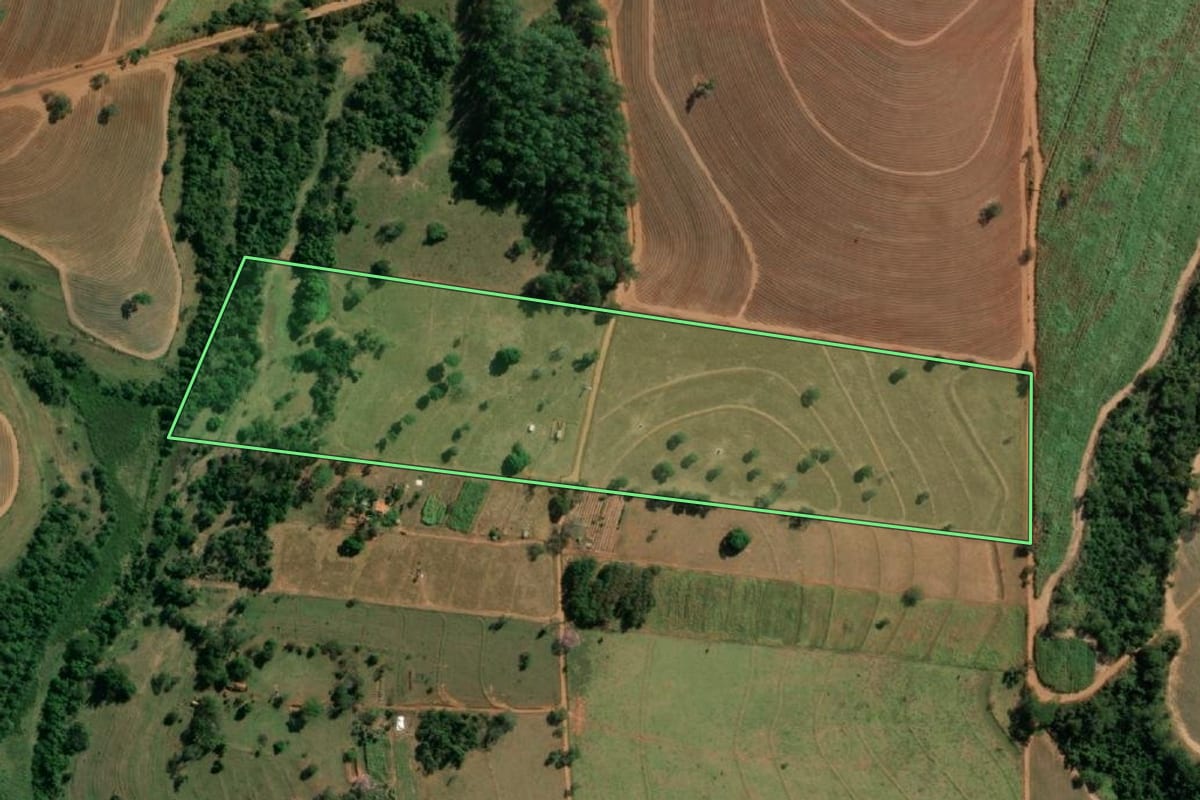 Imagem de satélite do imóvel rural em Neves Paulista (SP), com o contorno declarado no CAR desenhado por cima.