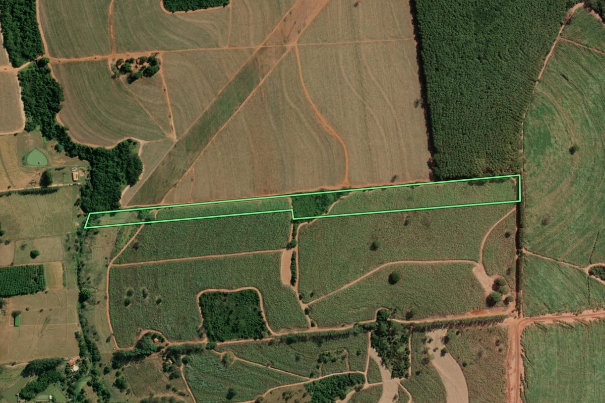 Imagem de satélite do imóvel rural em Neves Paulista (SP), com o contorno declarado no CAR desenhado por cima.