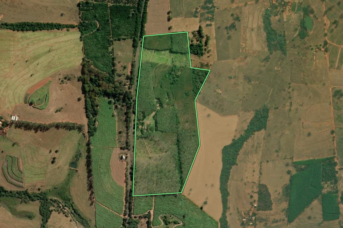Imagem de satélite do imóvel rural em Neves Paulista (SP), com o contorno declarado no CAR desenhado por cima.