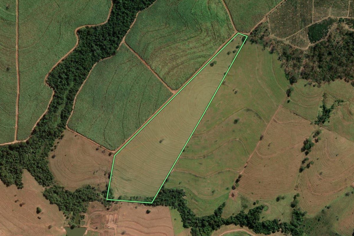 Imagem de satélite do imóvel rural em Neves Paulista (SP), com o contorno declarado no CAR desenhado por cima.