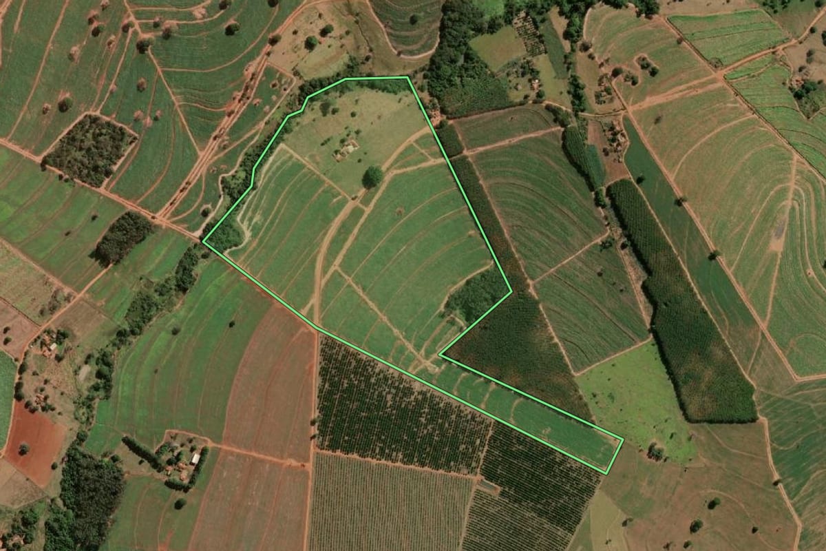 Imagem de satélite do imóvel rural em Neves Paulista (SP), com o contorno declarado no CAR desenhado por cima.