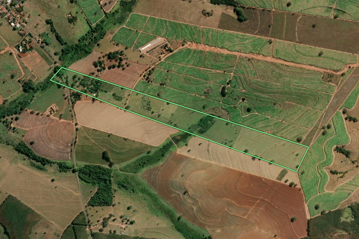 Imagem de satélite do imóvel rural em Neves Paulista (SP), com o contorno declarado no CAR desenhado por cima.