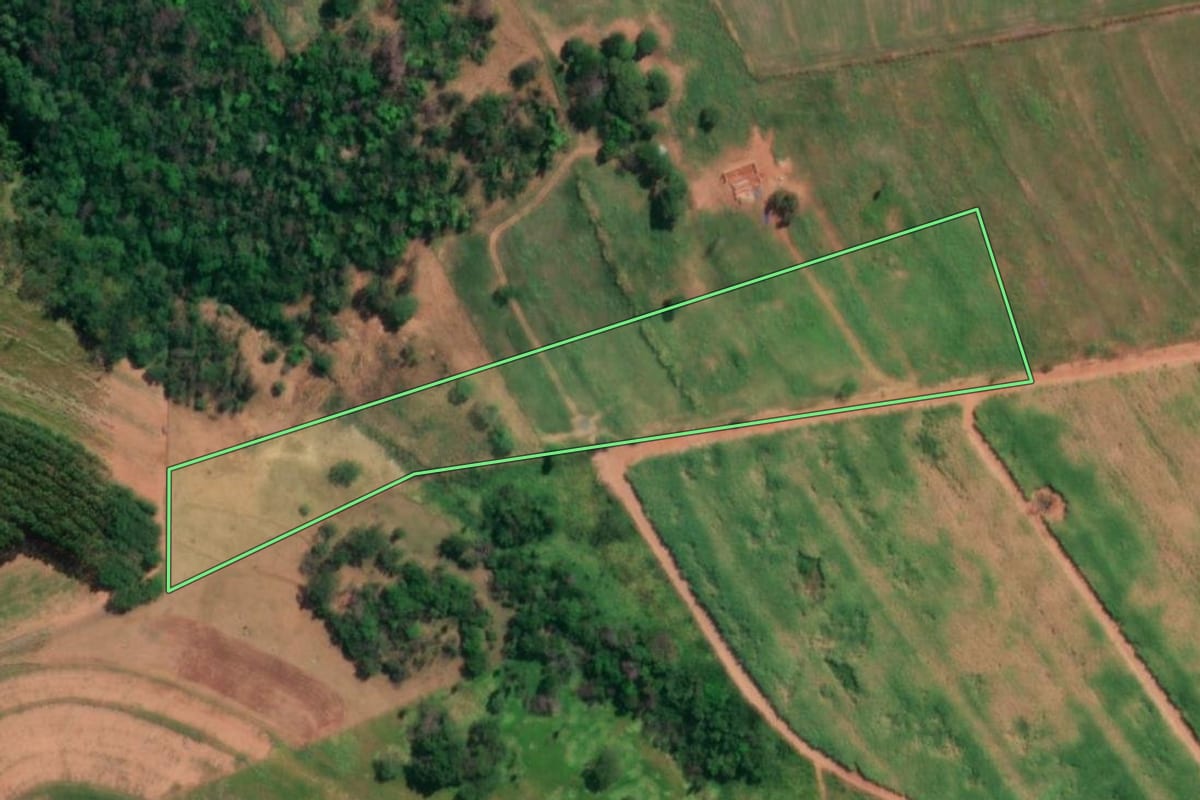 Imagem de satélite do imóvel rural em Neves Paulista (SP), com o contorno declarado no CAR desenhado por cima.
