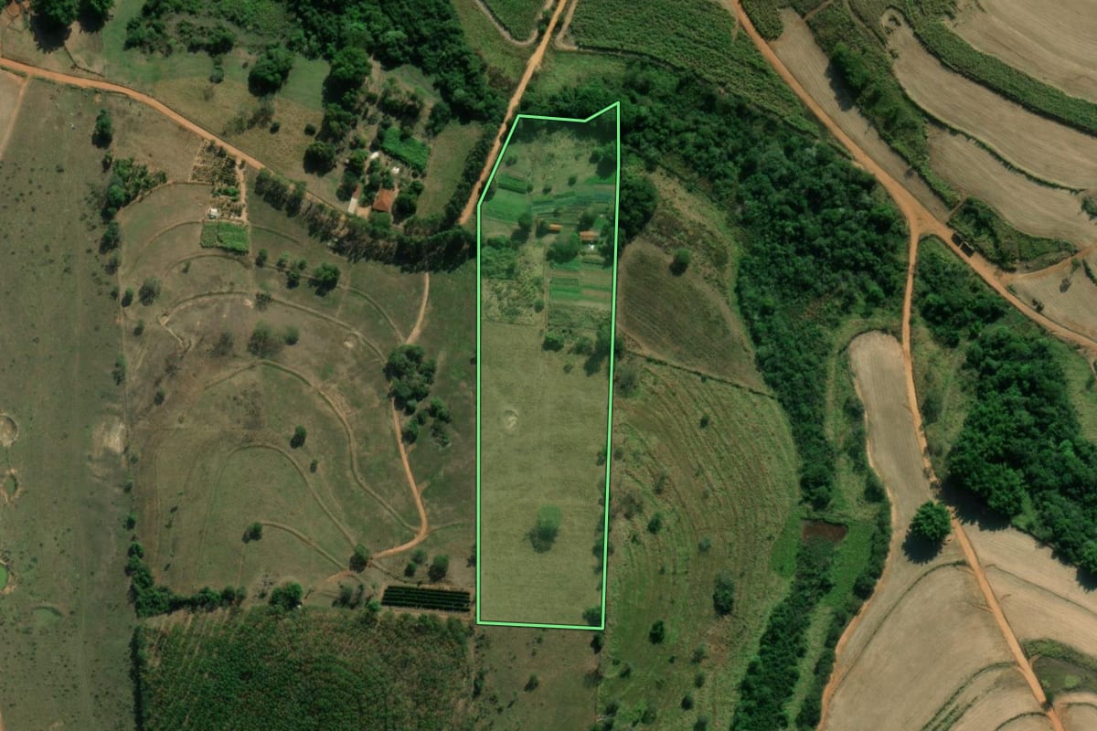 Imagem de satélite do imóvel rural em Neves Paulista (SP), com o contorno declarado no CAR desenhado por cima.