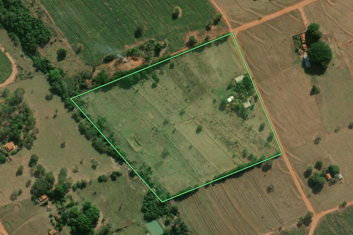 Imagem de satélite do imóvel rural em Neves Paulista (SP), com o contorno declarado no CAR desenhado por cima.