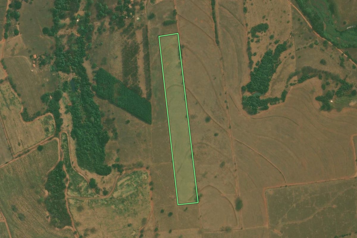 Imagem de satélite do imóvel rural em Neves Paulista (SP), com o contorno declarado no CAR desenhado por cima.