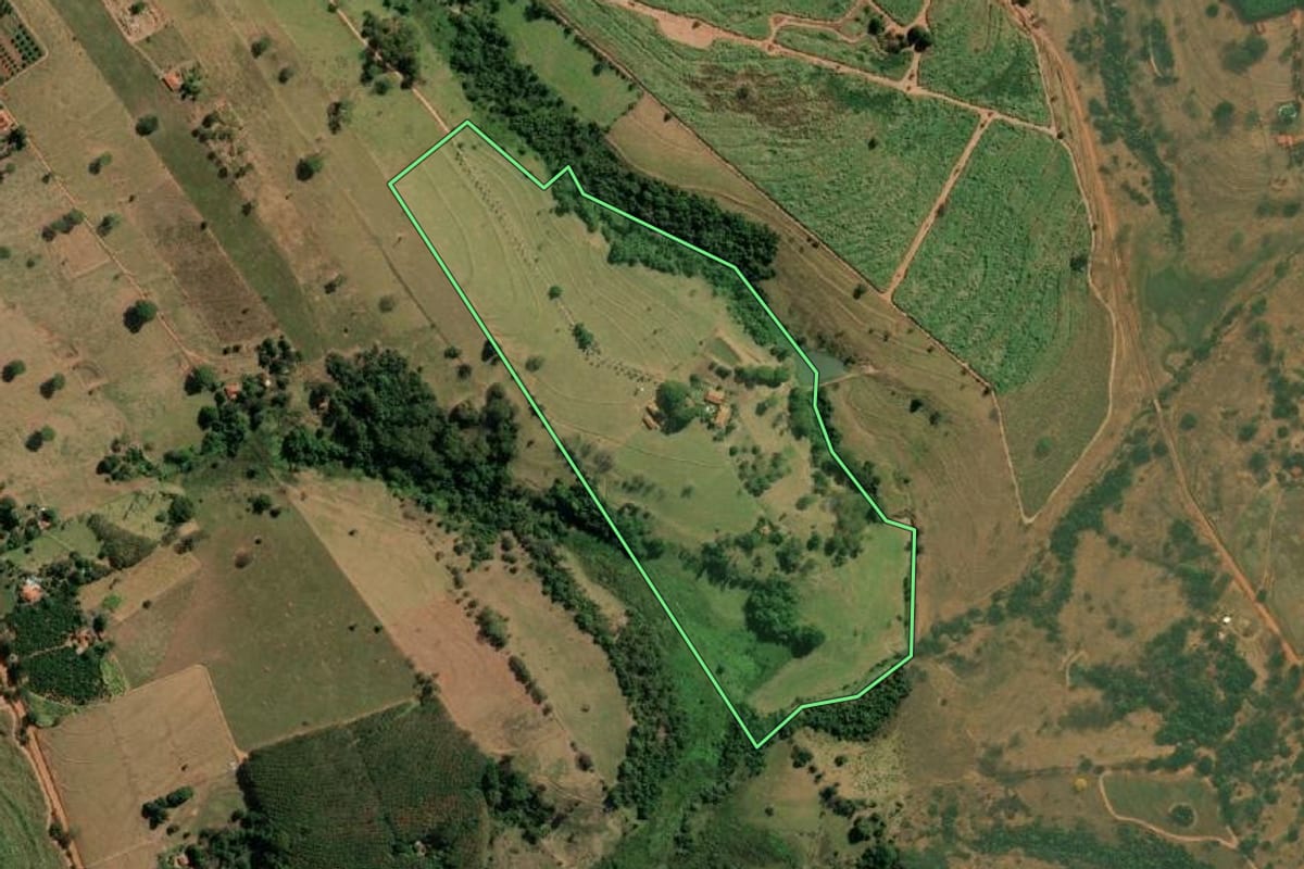 Imagem de satélite do imóvel rural em Neves Paulista (SP), com o contorno declarado no CAR desenhado por cima.