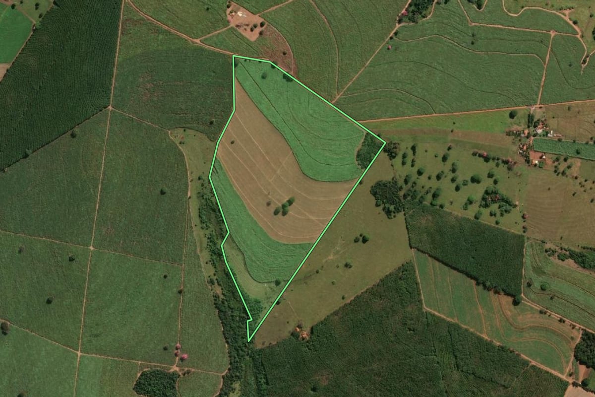 Imagem de satélite do imóvel rural em Nhandeara (SP), com o contorno declarado no CAR desenhado por cima.