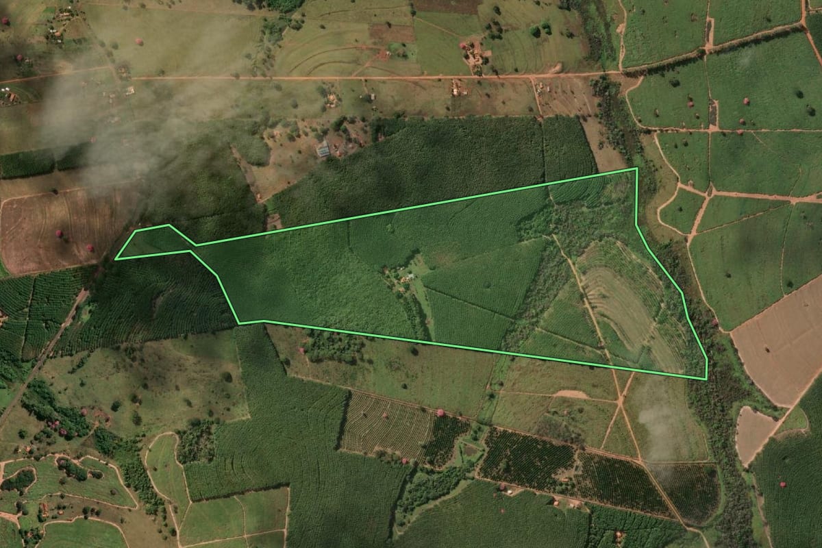 Imagem de satélite do imóvel rural em Nhandeara (SP), com o contorno declarado no CAR desenhado por cima.