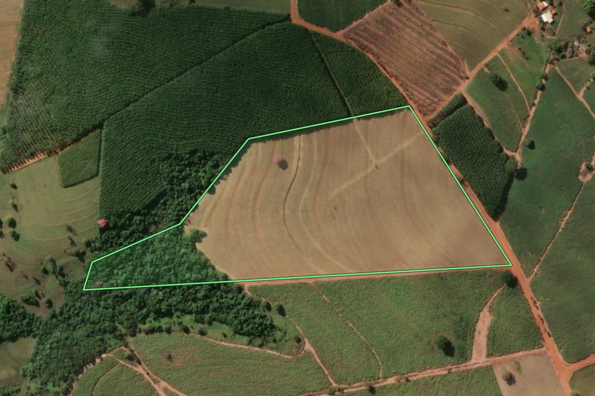 Imagem de satélite do imóvel rural em Nhandeara (SP), com o contorno declarado no CAR desenhado por cima.