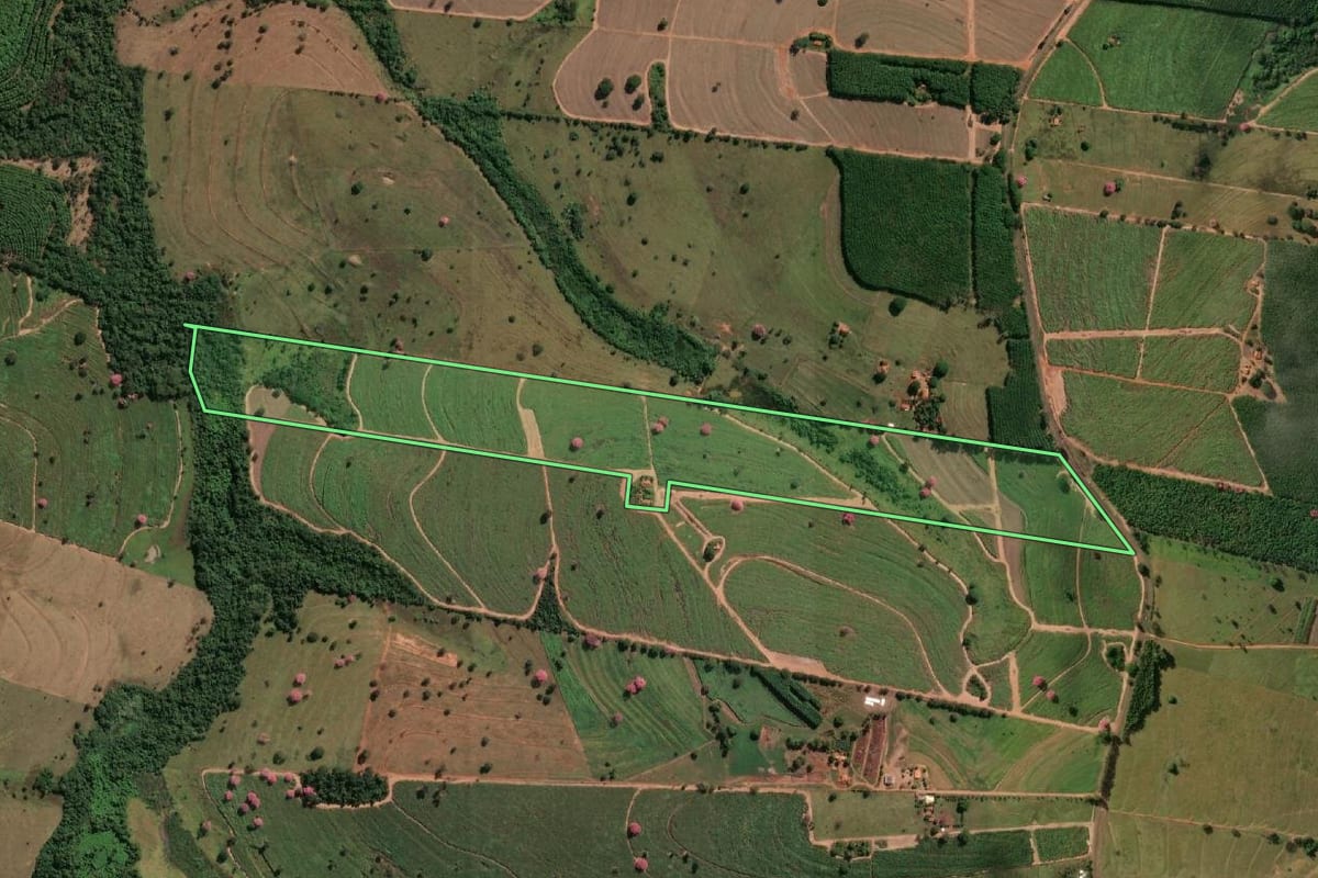 Imagem de satélite do imóvel rural em Nhandeara (SP), com o contorno declarado no CAR desenhado por cima.