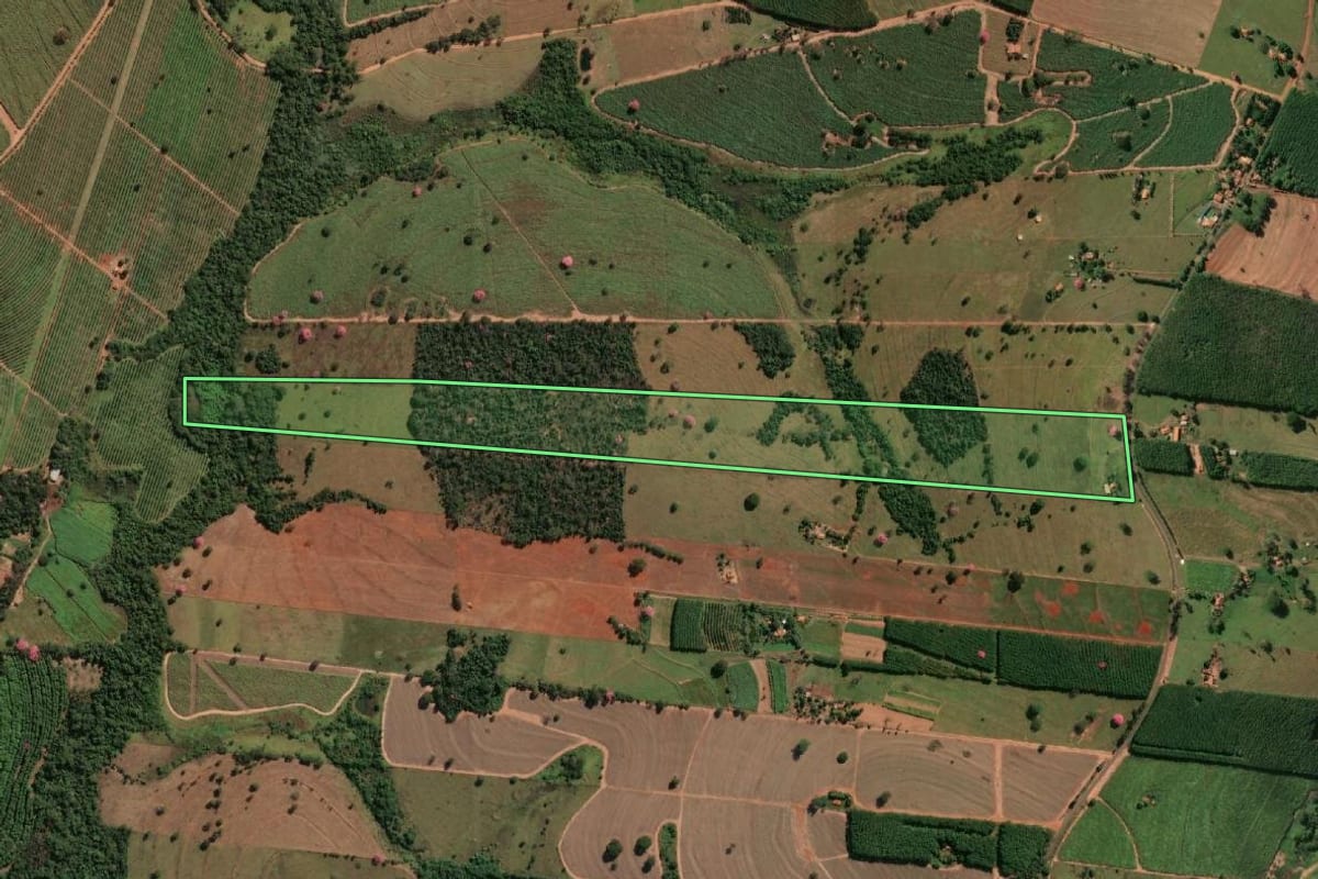 Imagem de satélite do imóvel rural em Nhandeara (SP), com o contorno declarado no CAR desenhado por cima.