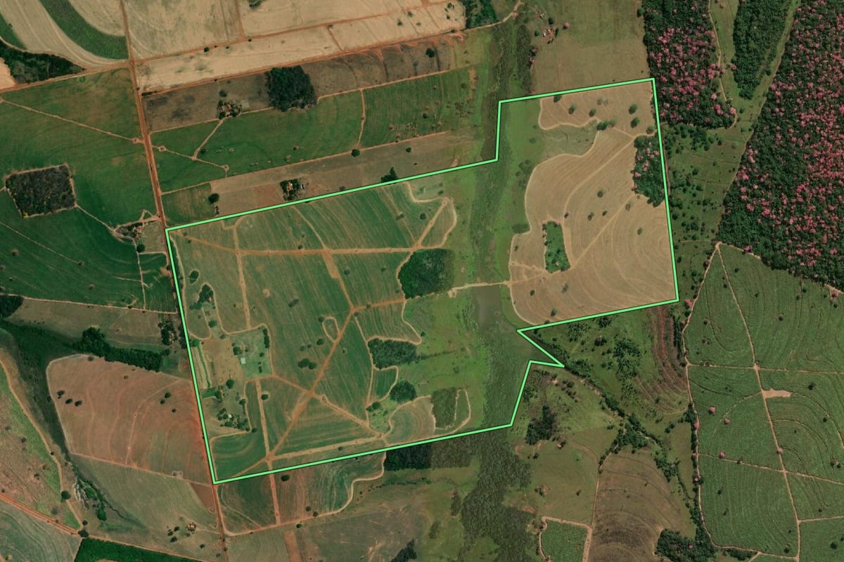 Imagem de satélite do imóvel rural em Nhandeara (SP), com o contorno declarado no CAR desenhado por cima.