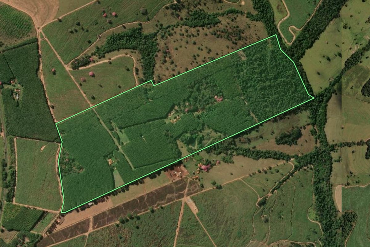 Imagem de satélite do imóvel rural em Nhandeara (SP), com o contorno declarado no CAR desenhado por cima.