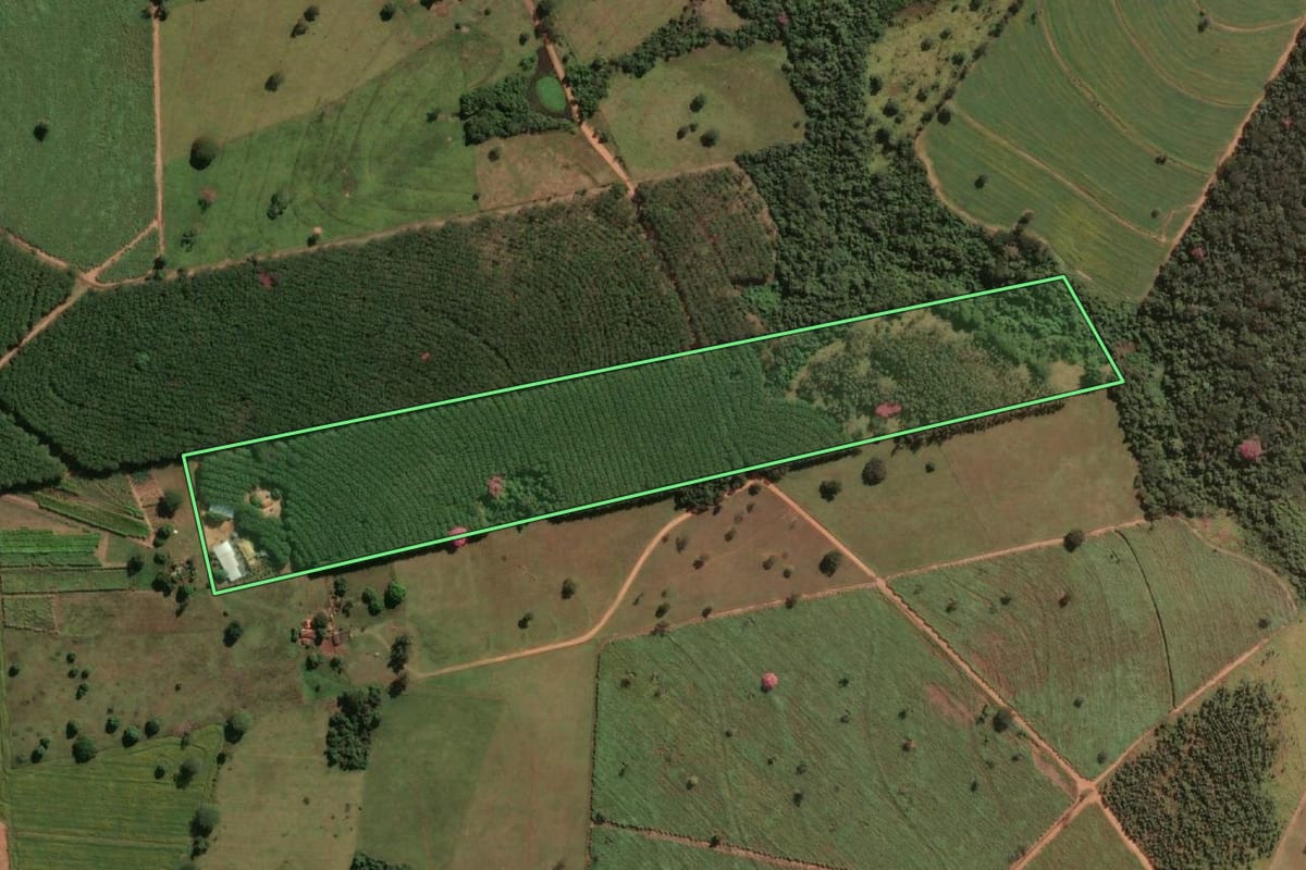Imagem de satélite do imóvel rural em Nhandeara (SP), com o contorno declarado no CAR desenhado por cima.
