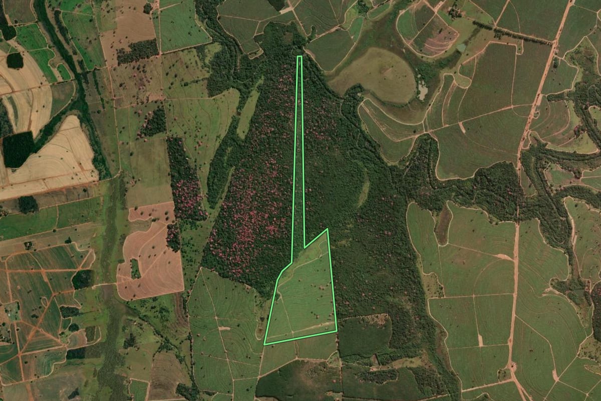 Imagem de satélite do imóvel rural em Nhandeara (SP), com o contorno declarado no CAR desenhado por cima.