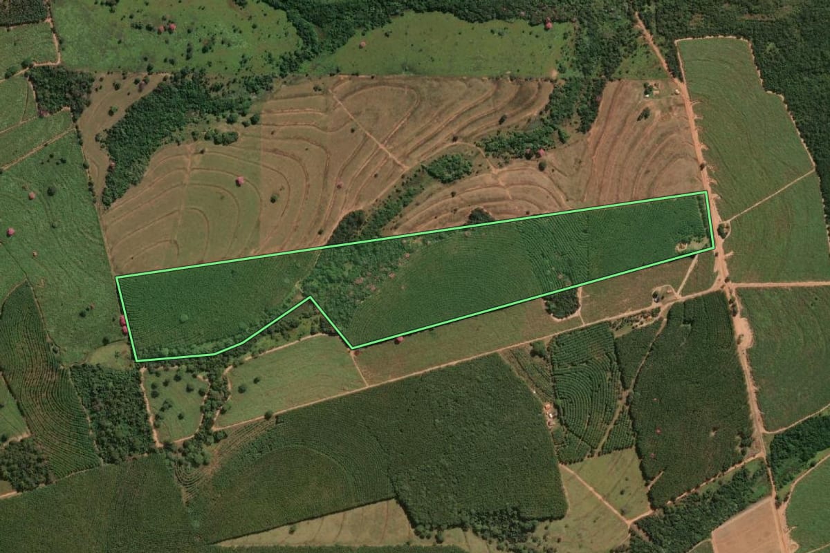 Imagem de satélite do imóvel rural em Nhandeara (SP), com o contorno declarado no CAR desenhado por cima.