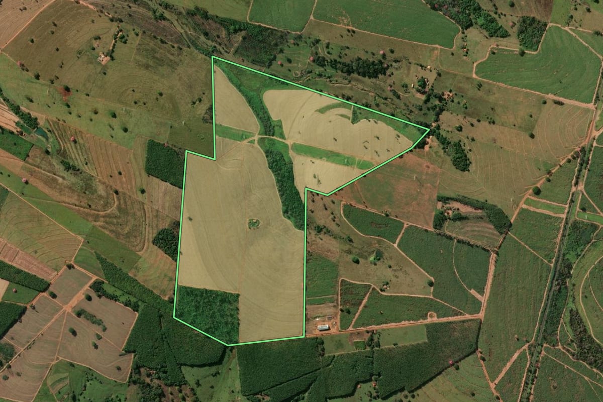 Imagem de satélite do imóvel rural em Nhandeara (SP), com o contorno declarado no CAR desenhado por cima.