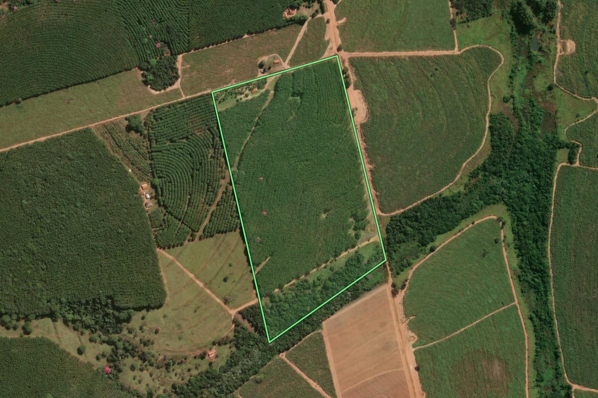 Imagem de satélite do imóvel rural em Nhandeara (SP), com o contorno declarado no CAR desenhado por cima.