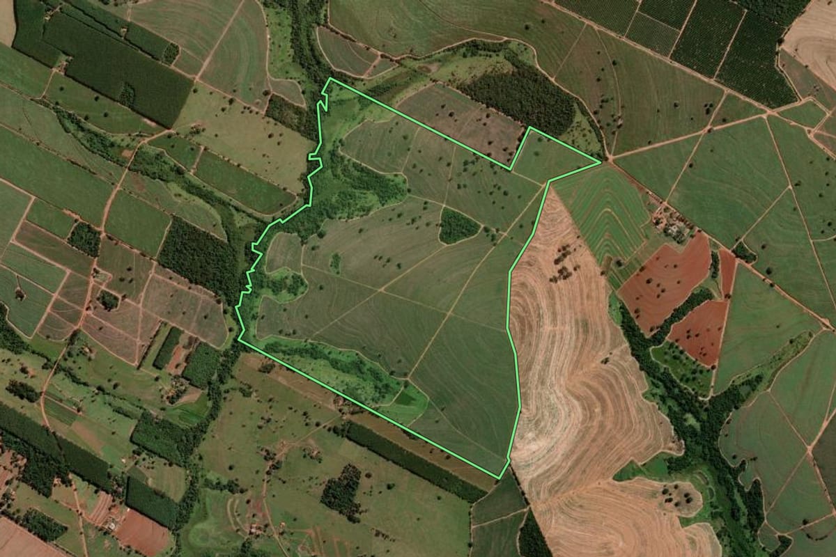 Imagem de satélite do imóvel rural em Nipoã (SP), com o contorno declarado no CAR desenhado por cima.