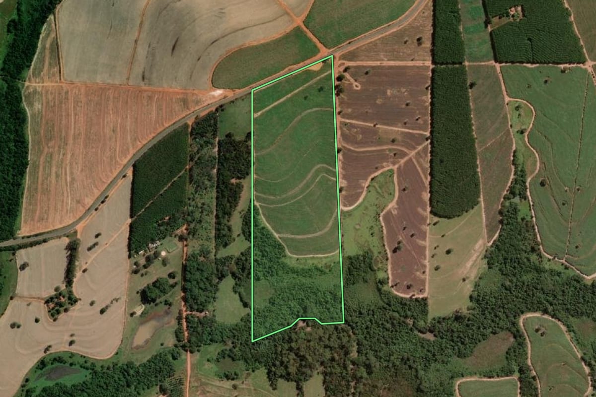 Imagem de satélite do imóvel rural em Nipoã (SP), com o contorno declarado no CAR desenhado por cima.