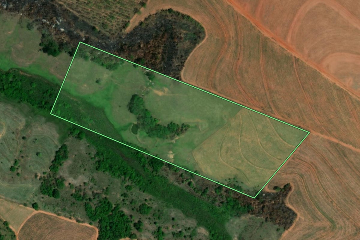 Imagem de satélite do imóvel rural em Nipoã (SP), com o contorno declarado no CAR desenhado por cima.