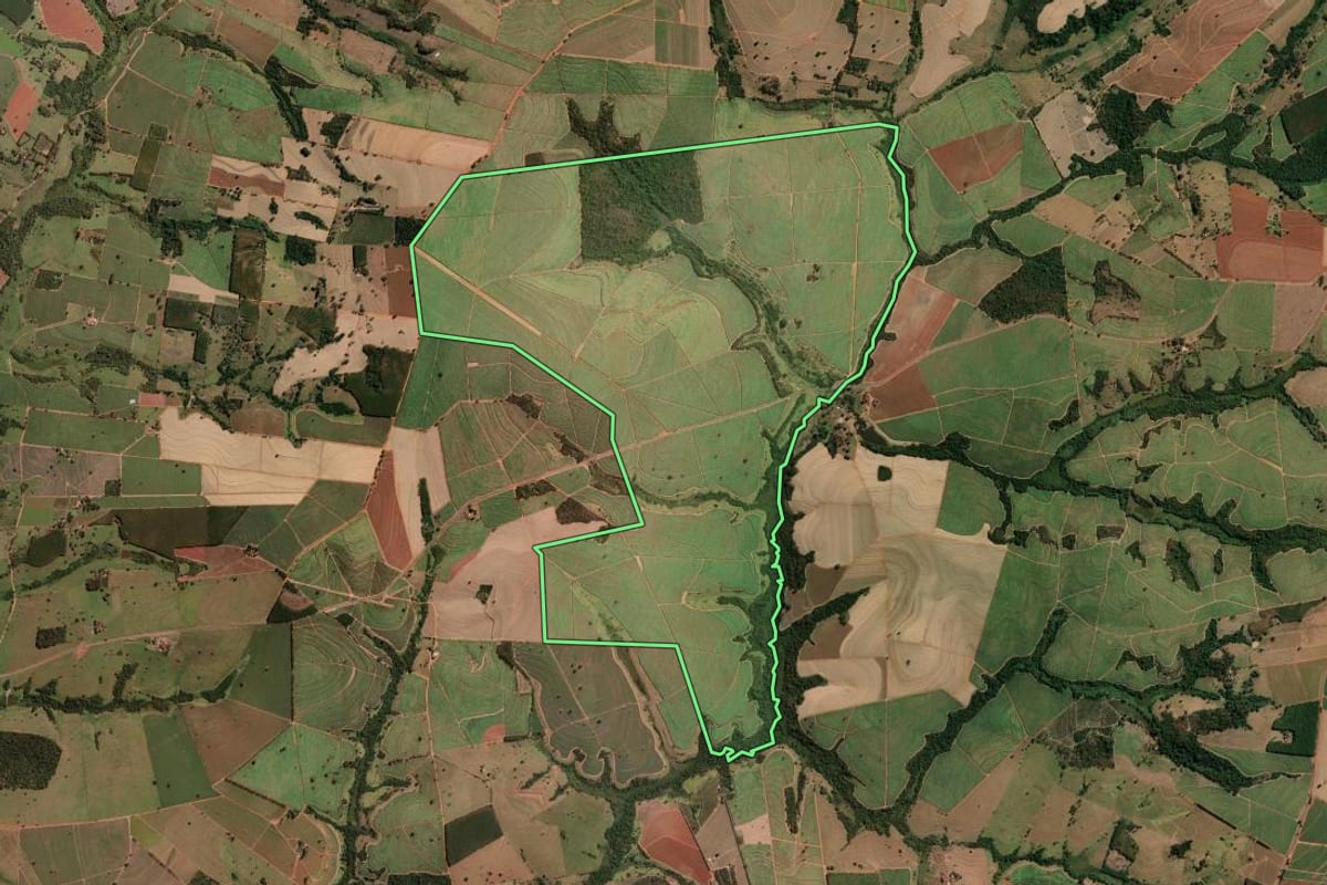 Imagem de satélite do imóvel rural em Nipoã (SP), com o contorno declarado no CAR desenhado por cima.