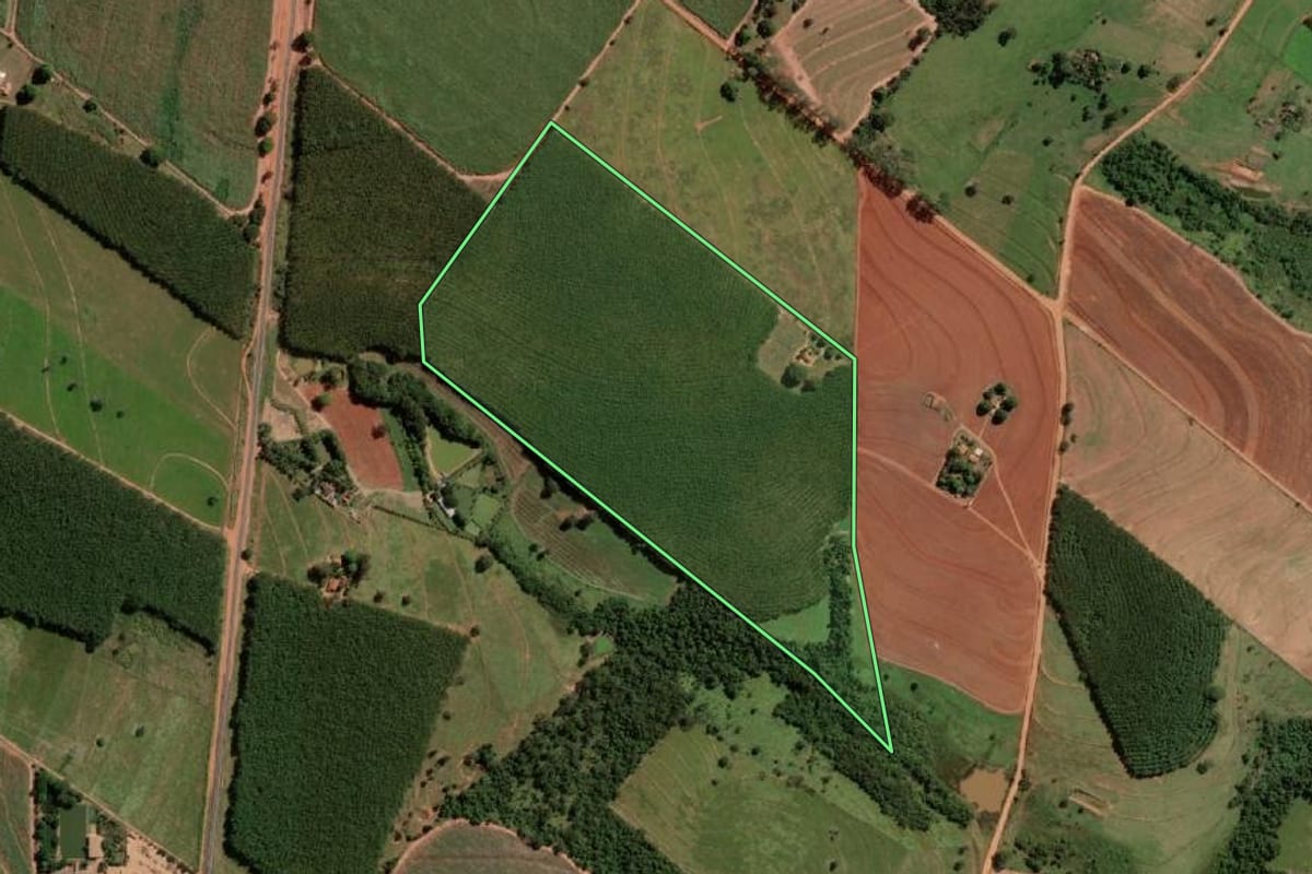 Imagem de satélite do imóvel rural em Nipoã (SP), com o contorno declarado no CAR desenhado por cima.