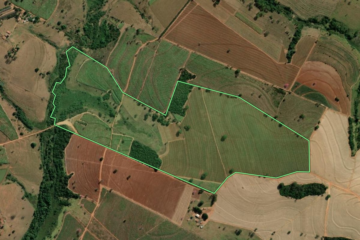 Imagem de satélite do imóvel rural em Nipoã (SP), com o contorno declarado no CAR desenhado por cima.