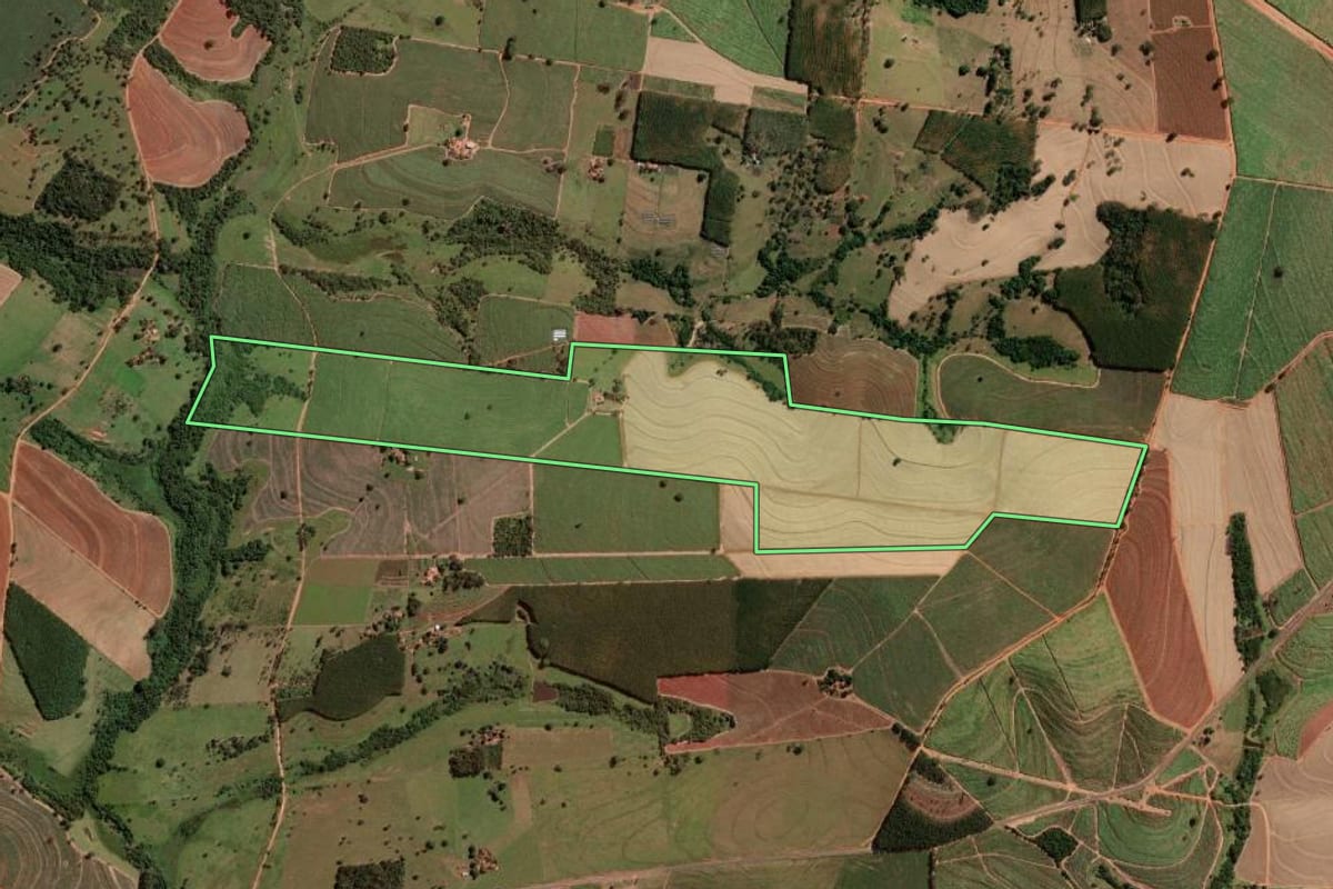 Imagem de satélite do imóvel rural em Nipoã (SP), com o contorno declarado no CAR desenhado por cima.