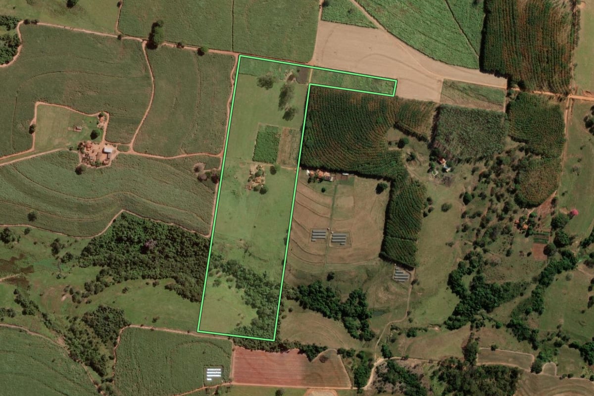 Imagem de satélite do imóvel rural em Nipoã (SP), com o contorno declarado no CAR desenhado por cima.