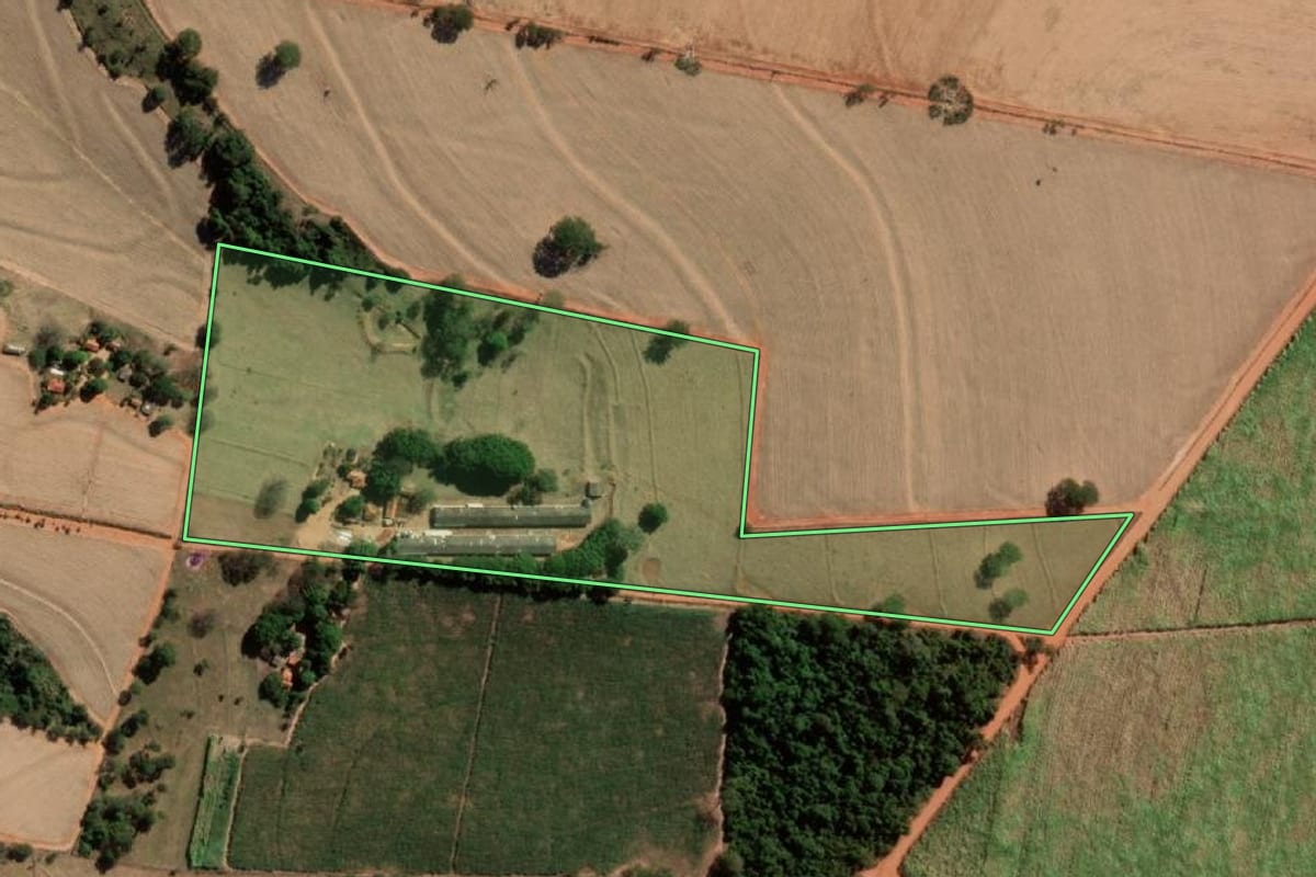 Imagem de satélite do imóvel rural em Nipoã (SP), com o contorno declarado no CAR desenhado por cima.