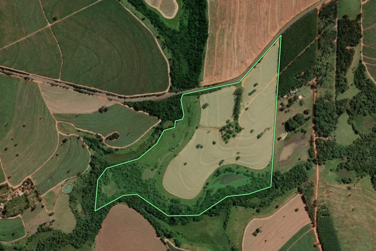 Imagem de satélite do imóvel rural em Nipoã (SP), com o contorno declarado no CAR desenhado por cima.